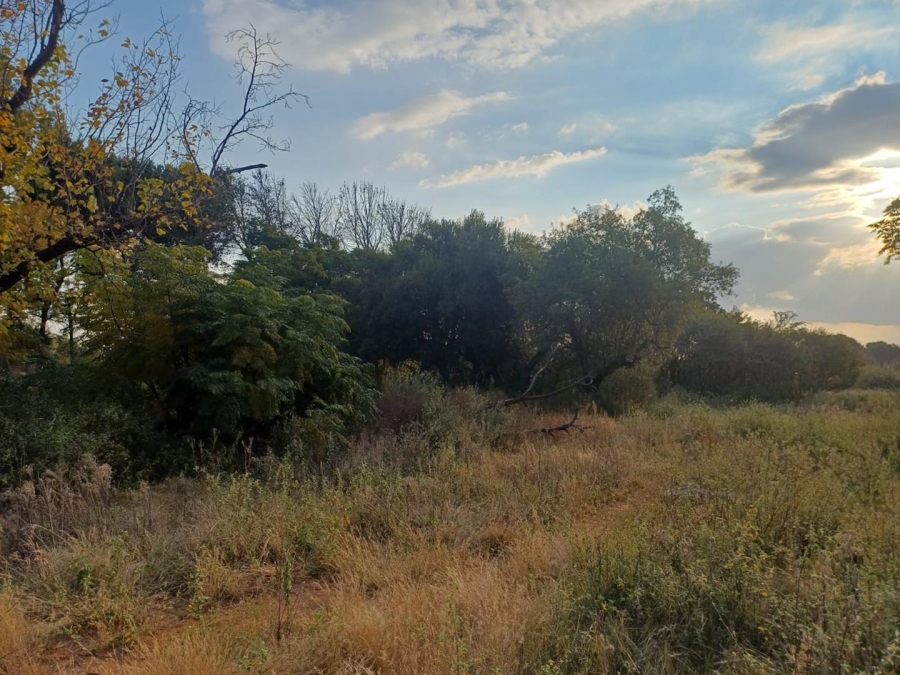 Commercial Property for Sale in Spitskop Free State